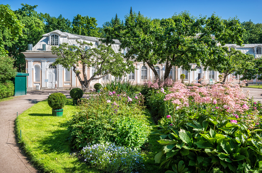 Оранжерея в Петергофе